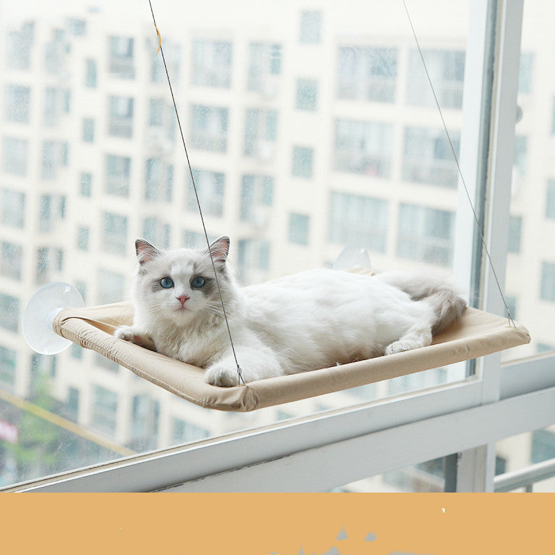 Window perch installed on glass
