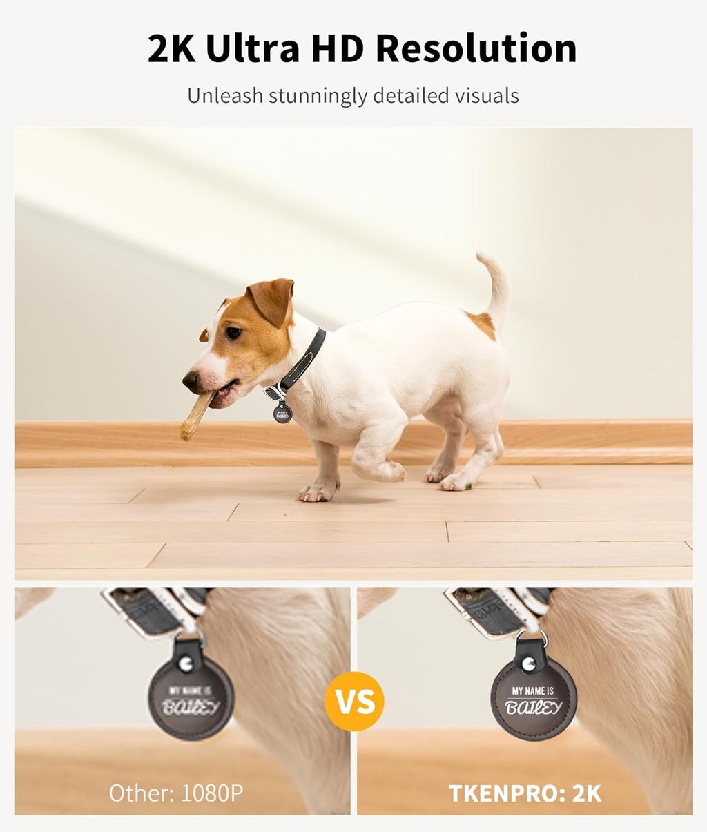 camera-treat-dispenser TikTok image 3
