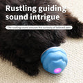motion-squeaky-rolling-ball TikTok image 1