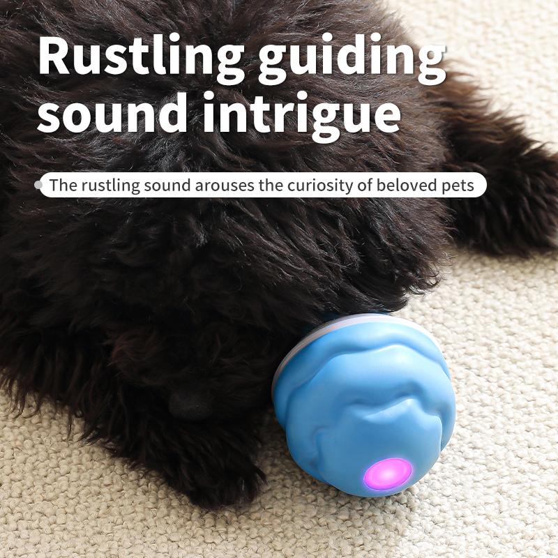 motion-squeaky-rolling-ball TikTok image 1