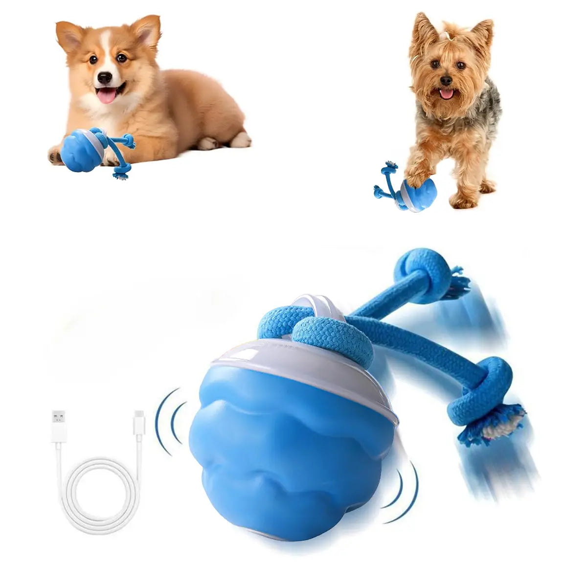 motion-squeaky-rolling-ball TikTok image 2