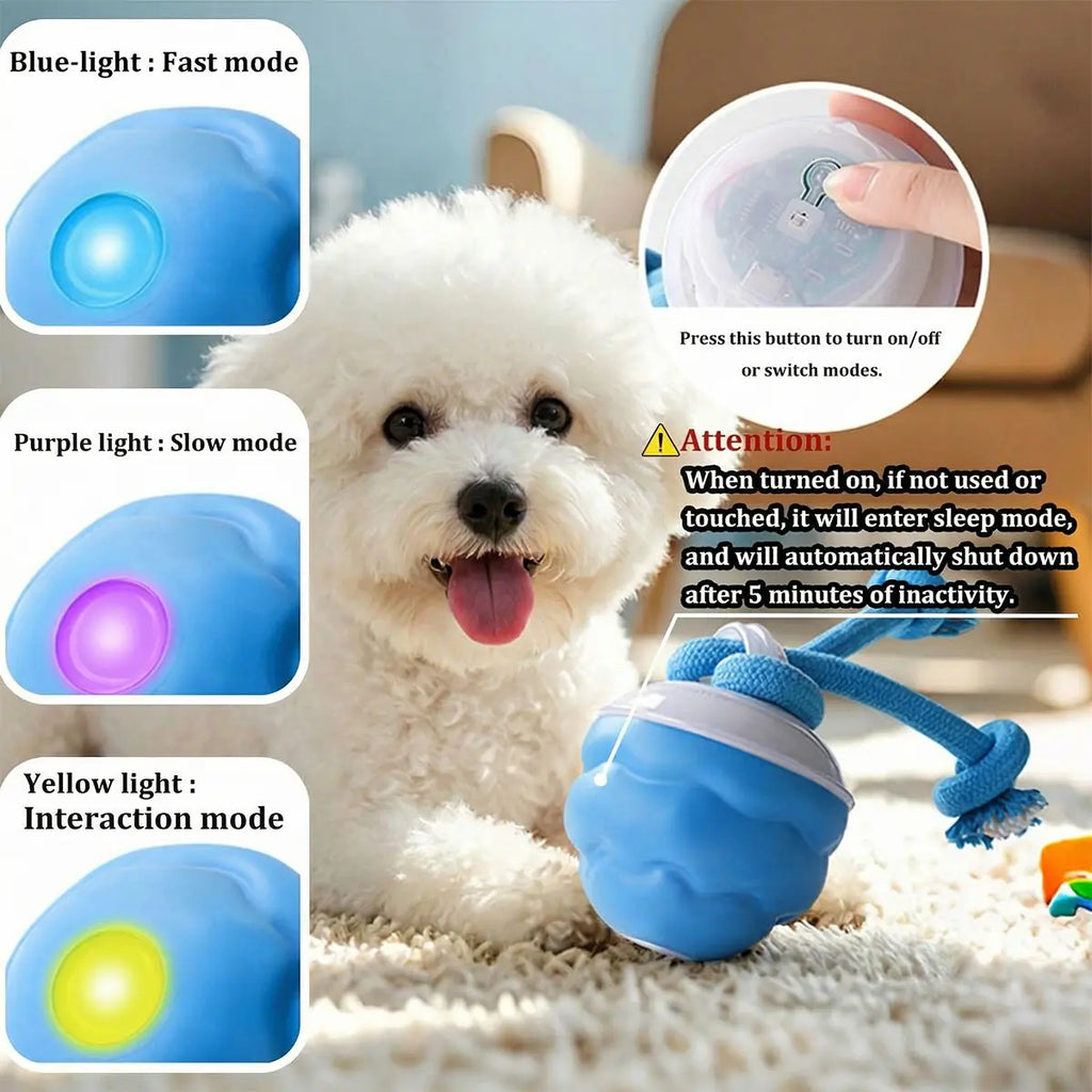 motion-squeaky-rolling-ball TikTok image 3