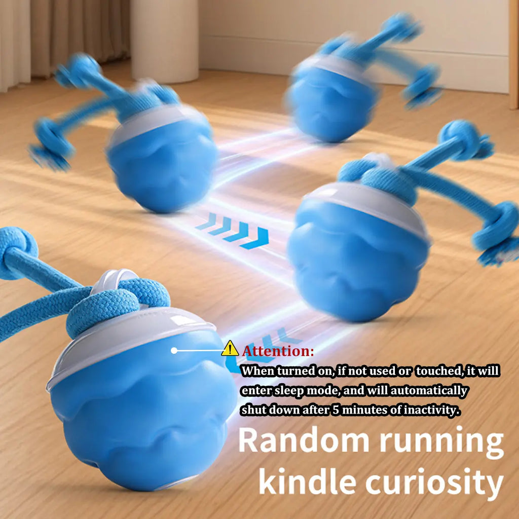motion-squeaky-rolling-ball TikTok image 4