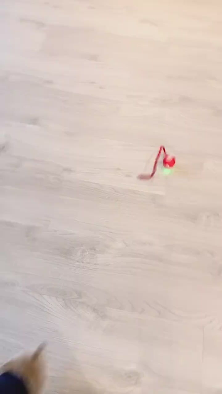 smart-led-rolling-pet-ball TikTok video
