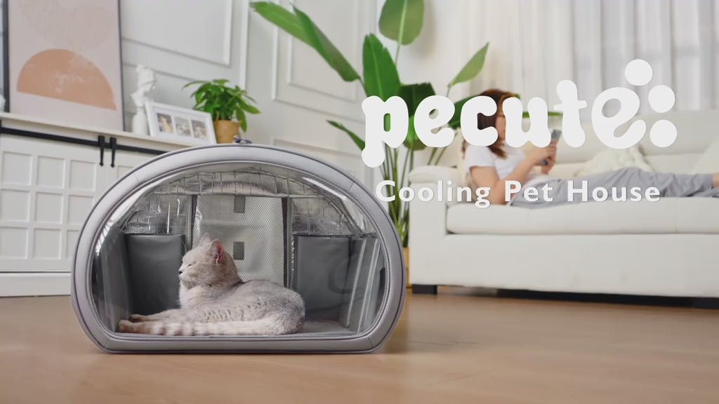 cooling-cat-igloo-nest TikTok Shop product video
