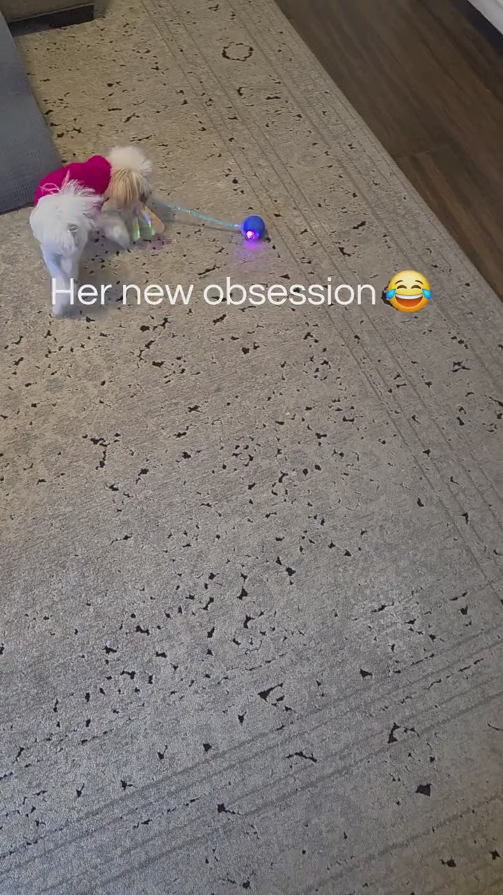 interactive-rolling-teaser-ball TikTok video