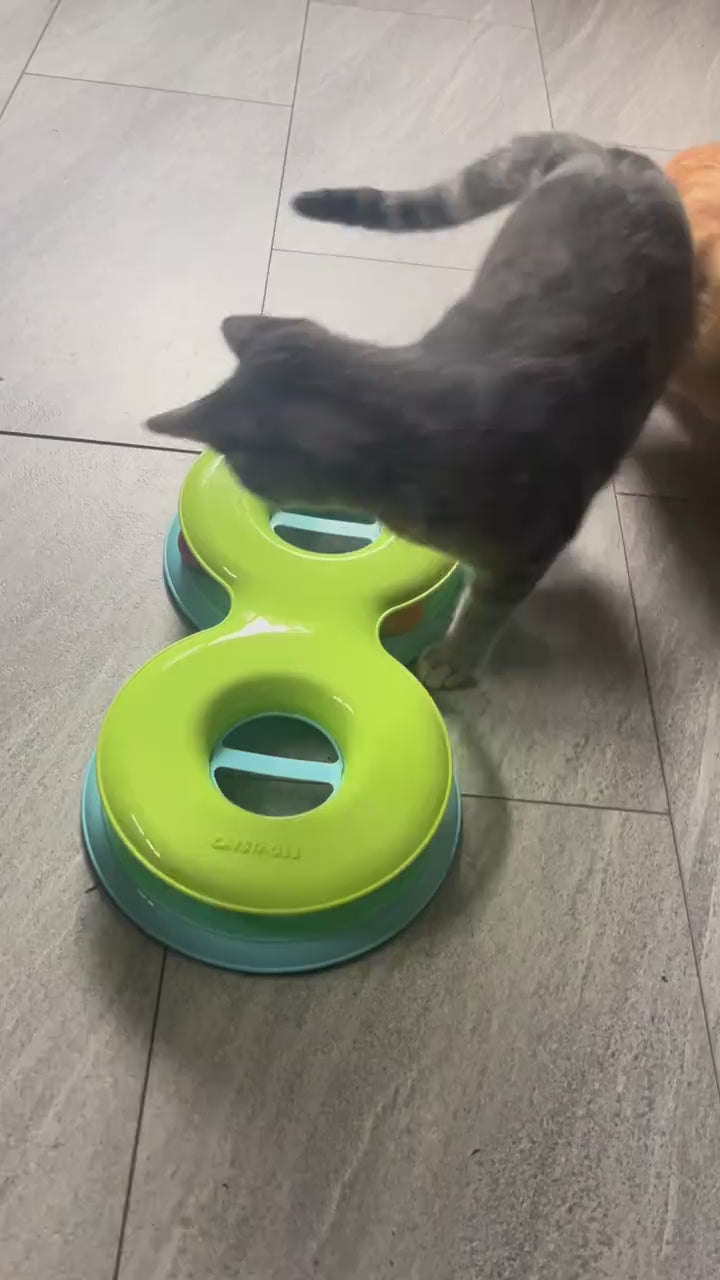 treat-puzzle-feeder TikTok Shop product video