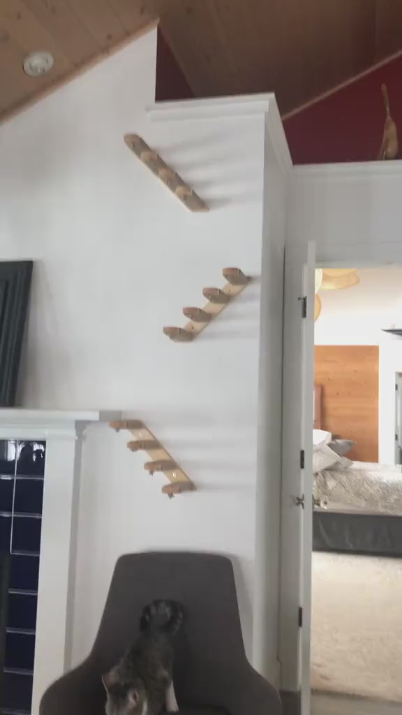 modular-window-steps-set TikTok Shop product video