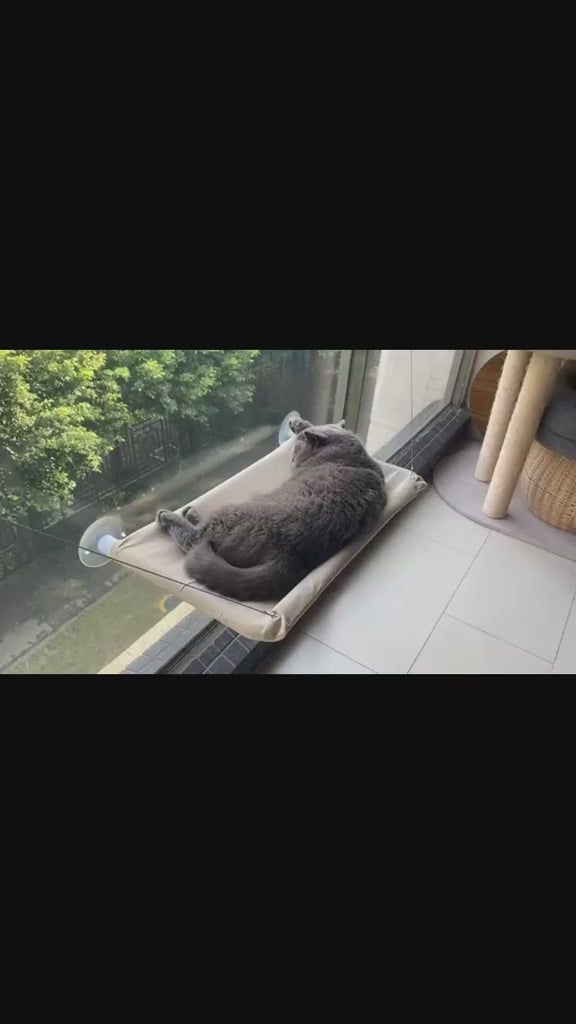 flatpaws-window-perch-hammock TikTok Shop product video