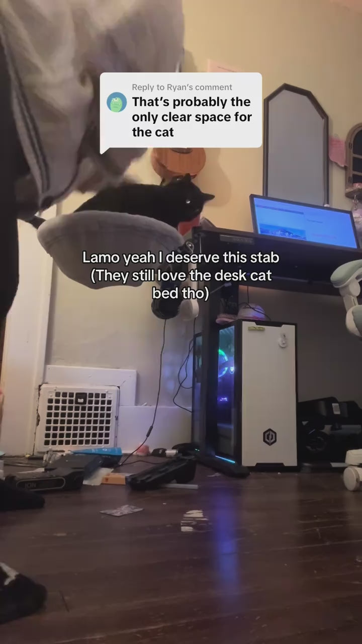desk-clamp-cat-hammock TikTok Shop product video