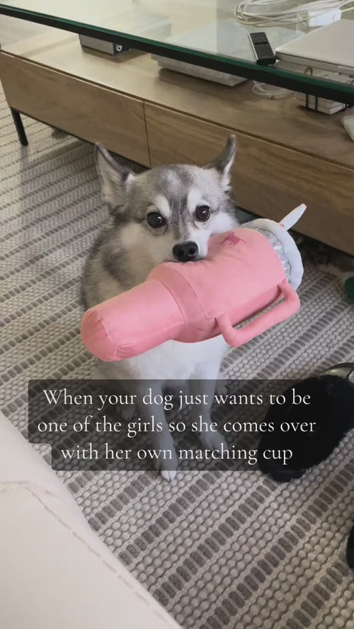 pup-cup-tumbler-plush TikTok video
