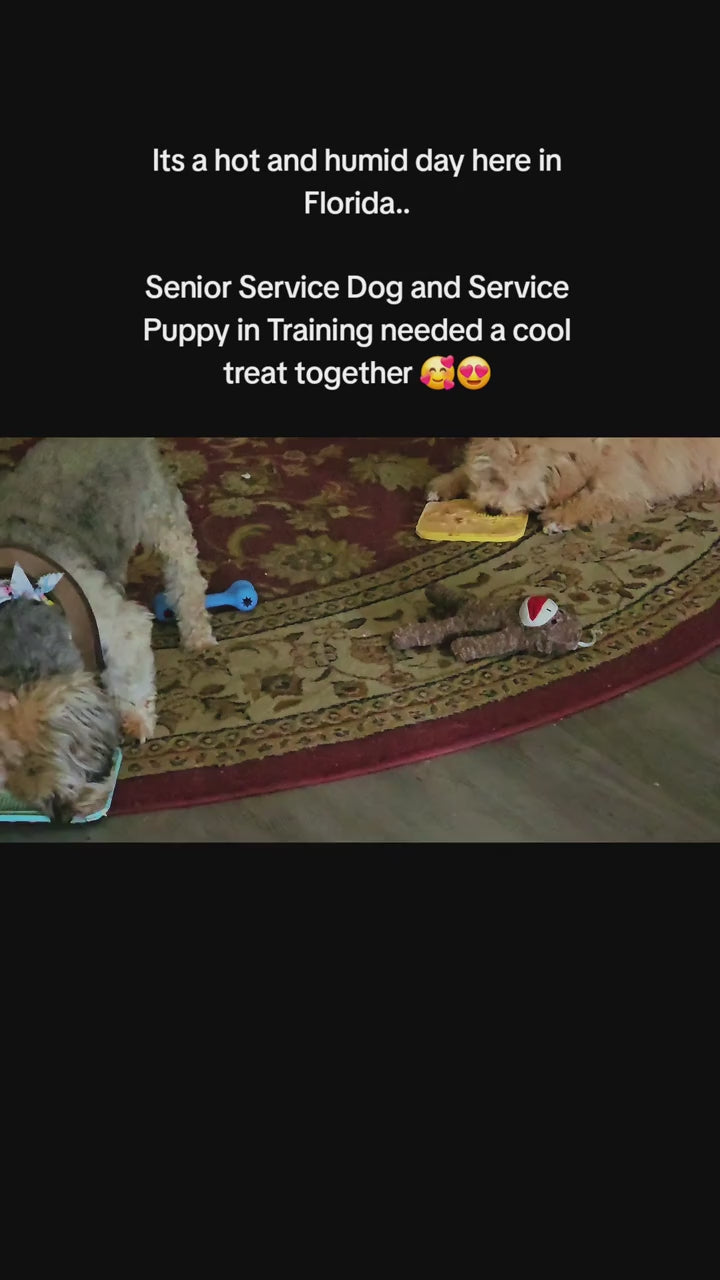 flatpaws-silicone-cat-lick-mat TikTok Shop product video