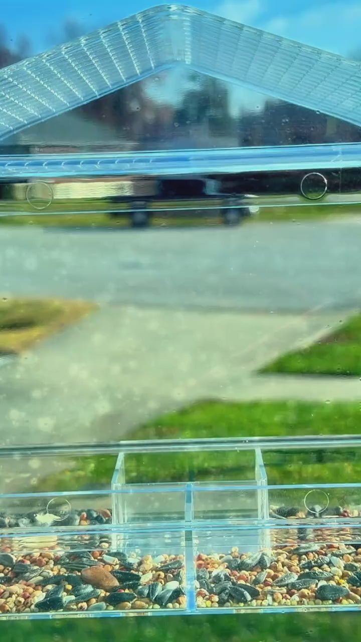 window-bird-feeder-for-cats TikTok Shop product video