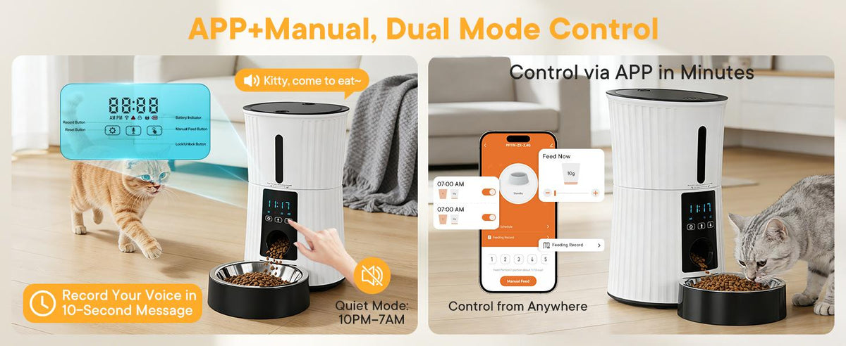 smart-auto-cat-feeder TikTok image 2