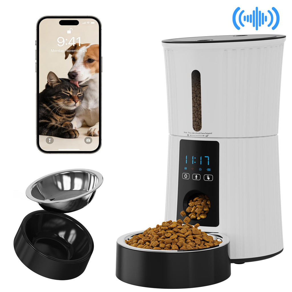 smart-auto-cat-feeder TikTok image 3