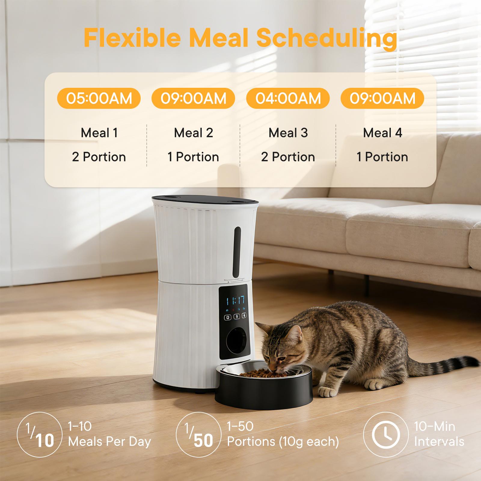 smart-auto-cat-feeder TikTok image 4